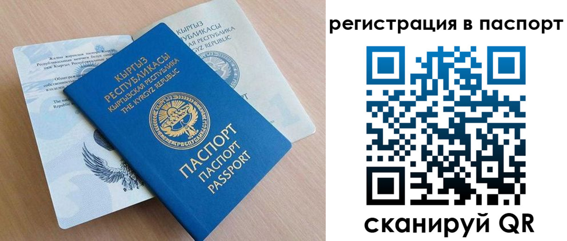 прописка законно в Ардоне